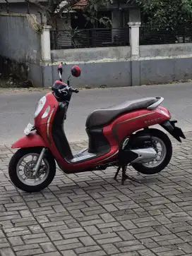 HONDA SCOOPY STYLIS 2023 KM 19RB DP 1.5JT