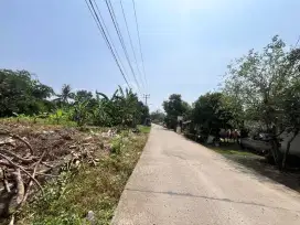 Kavling 100Jt-an Cisauk, jalan cor beton