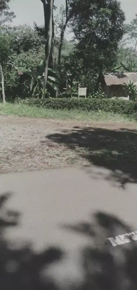 Dijual tanah dipinggir jalan raya limbangan arah wisata durian lolong,