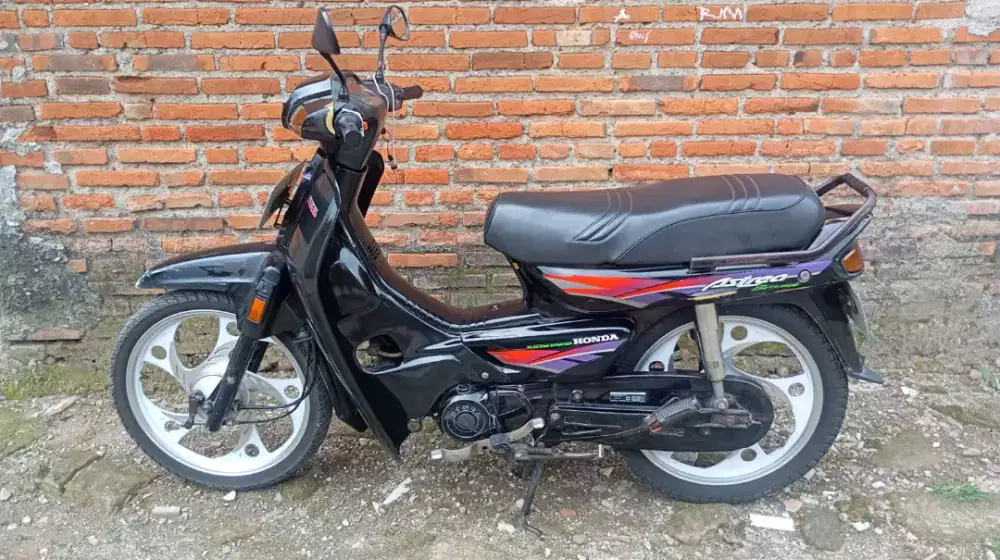 Astrea grand pajak idup