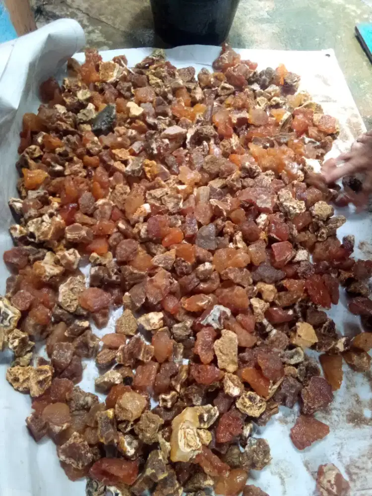 Bahan batu akik raflesia