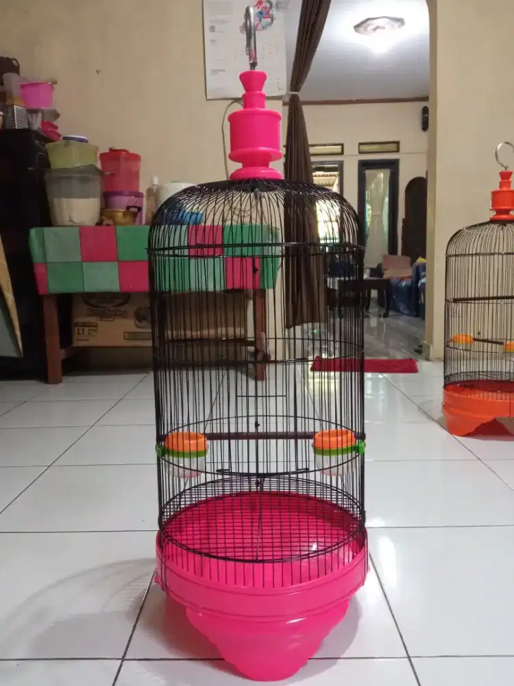 Di juaL kanDang Lovebird