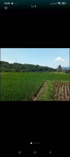 DI JUAL SAWAH DI SUMEDANG