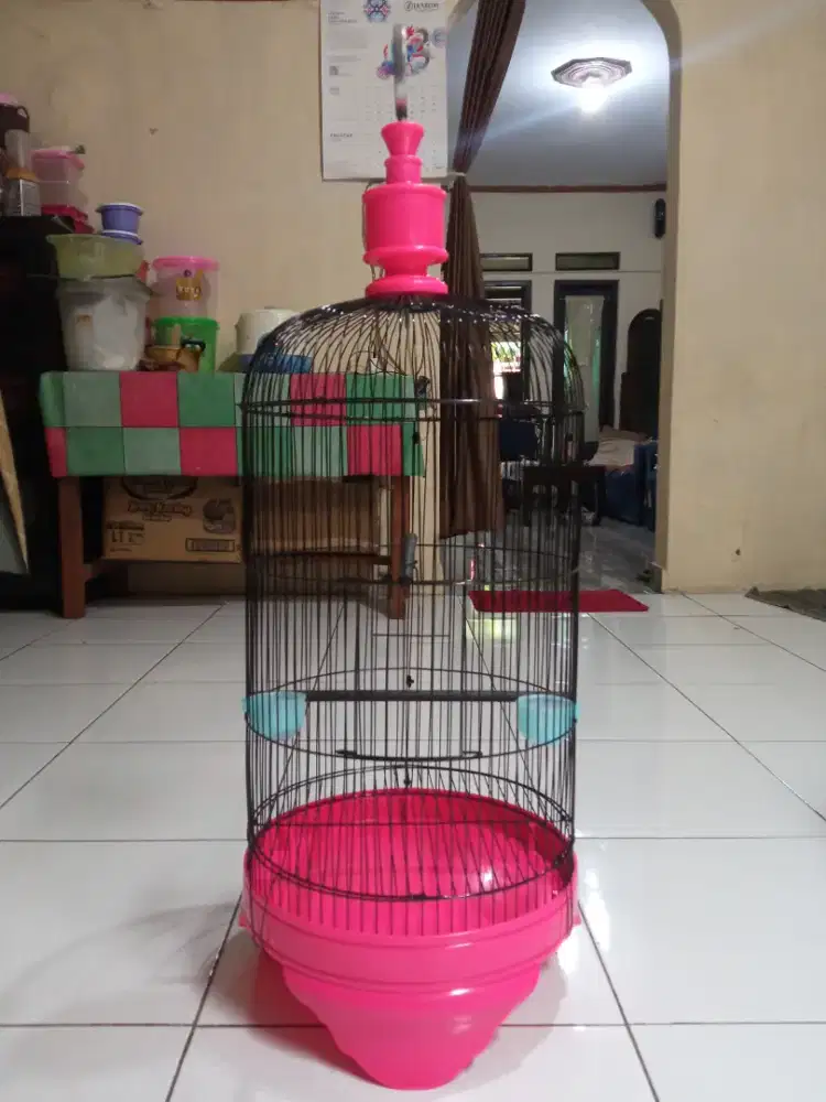 Di juaL kanDang Lovebird