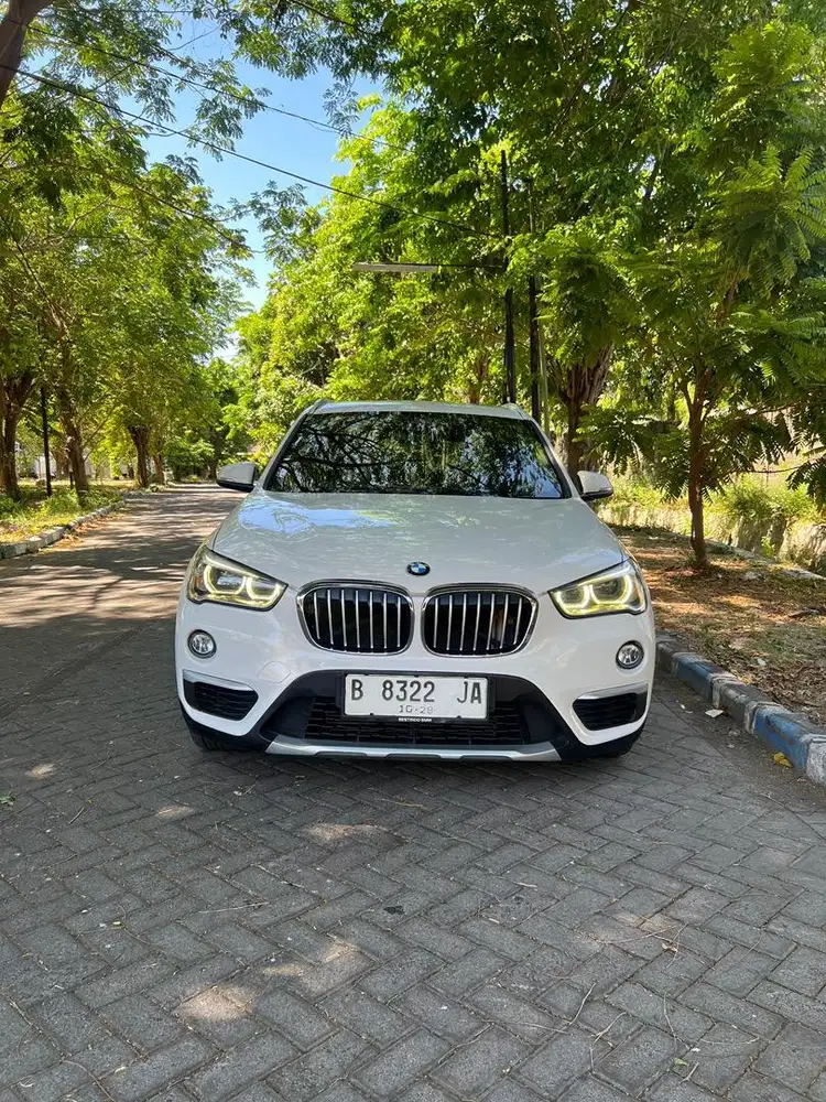 BMW X1 F48 panoramic sunroof