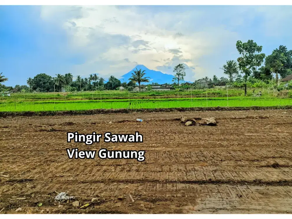 Cantik Pingir Sawah View Gunung, Tanah Di Jalan Palagan Mlati