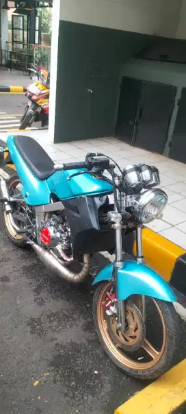 Ninja r 2010 superkips