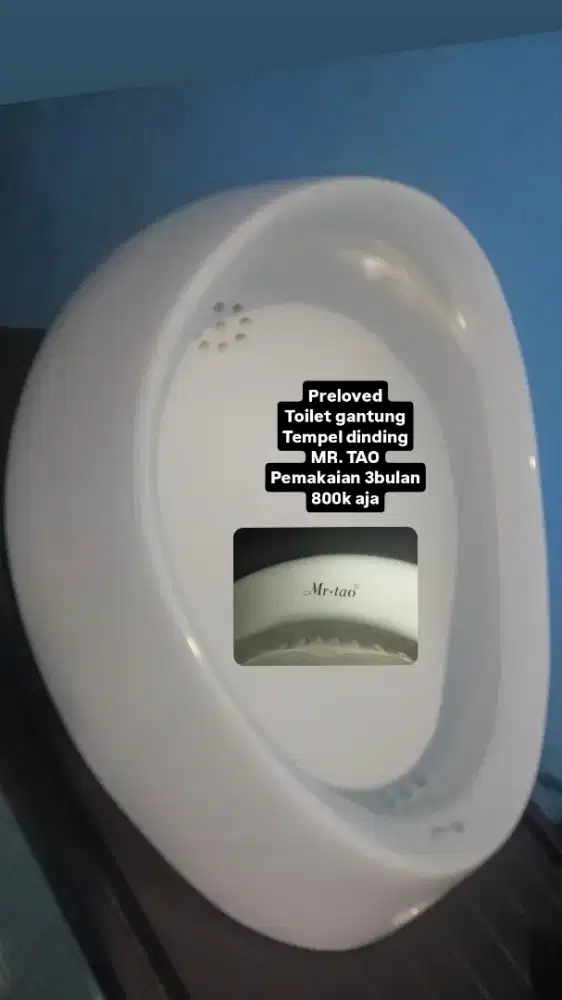 Toilet gantung toilet tempel urinal gantung