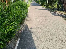 tanah strategis pusat kota Kesesi