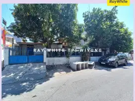 Dijual Rumah Kost Raya Salak Tambaksari Surabaya