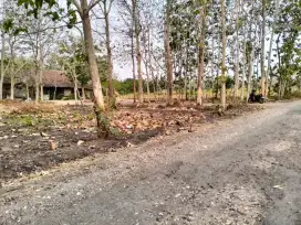 TANAH MRICAN JENANGAN PONOROGO