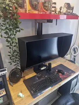 Eizo CG319X Color Edge