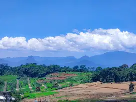DIJUAL TANAH MURAH 600 RIBUAN PERMETER SHM PINGGIR JALAN