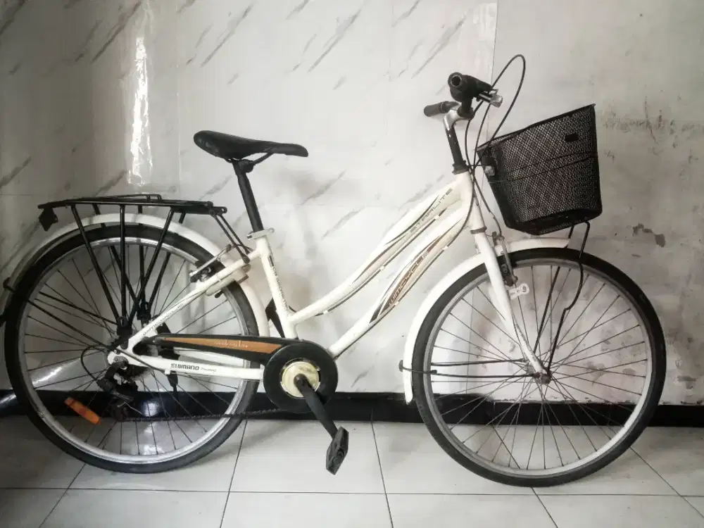 Sepeda mini keranjang dewasa