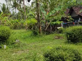 Jual tanah 80 juta di cerme panjatan kulonprogo dekat pura raharja RS
