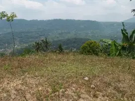 jual tanah sawah dn kebun view gunung