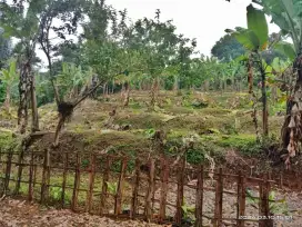 JUAL TANAH MURAH