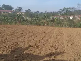 jual tanah kebun