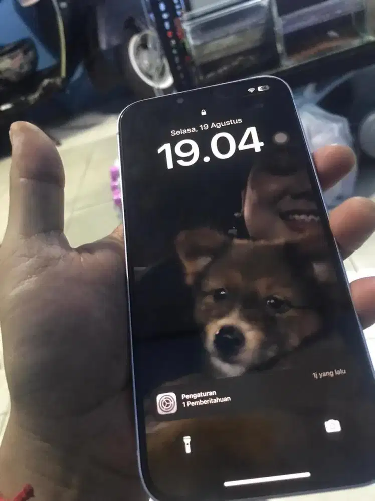 Iphone 14 Plus Wifi Only