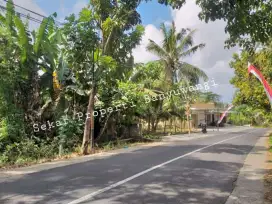 Di jual tanah pinggir jalan banjarsari, timur dakon resto Banyuwangi