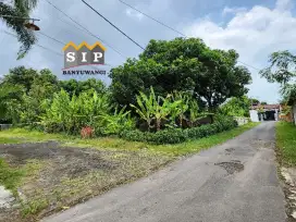 tanah hook siap bangun di jalan pajajaran 2, pusat kota banyuwangi