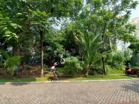 Trimaran Permai