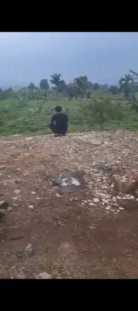 Tanah di Hambalang Bogor Kontur Landai