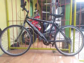 Sepeda Gunung KnightRider