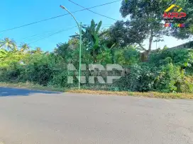 Tanah dijual di Kelir kalipuro Banyuwangi cocok untuk bangun Gudang