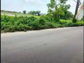 Jual Lahan 2,4 hektar di Rajeg Rajawali Kabupaten Tangerang