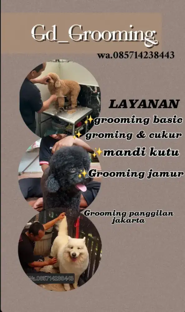 Jasa grooming panggilan grooming anjing grooming jakarta