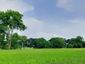 Termurah Tanah Long Golf Bukit Darmo Golf Bisa KPT
