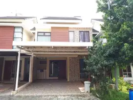 Termurah Rumah sewa siap huni diforesta bsd