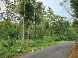 Tanah strategis di Ds Dalisodo Jedong Wagir Malang
