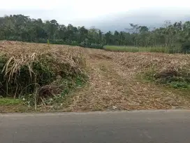 TANAH POROS JALAN DESA SUMBER TEMPUR WONOSARI KABUPATEN MALANG