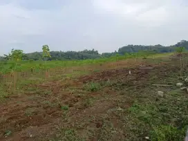 Tanah Mangunharjo Sendangmulyo Dekat UNDIP Tembalang