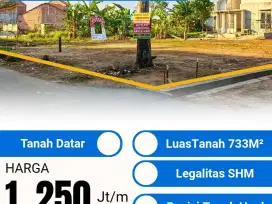 Tanah Murah 733m Hook Pinggir Jalan Rajabasa