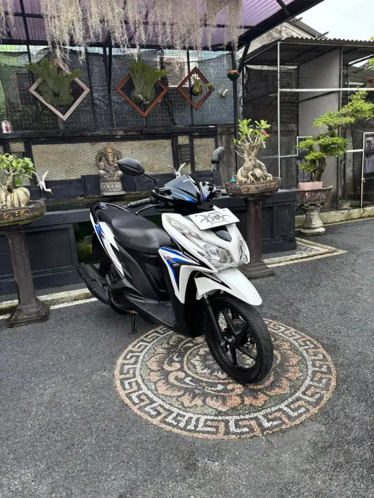 Vario techno 125
