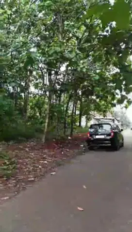 DIJUAL CEPAT: TANAH KEBUN DKT PINTU TOL KALIJATI (CIKAMPEK-PALIMANAN)