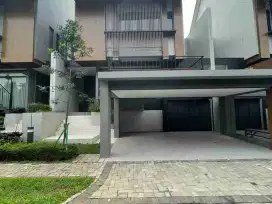 Caelus Greenwich BSD