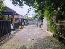 Rumah Sewa  Kontrak  Tembalang  Undip