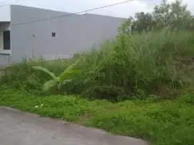 Tanah Tembalang Burangrang Dekat Undip