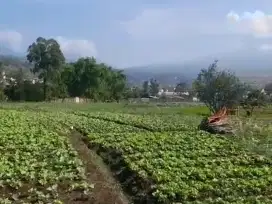 TANAH VIEW ISTIMEWA LOKASI BELAKANG BALAI KOTA BATU