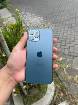 iPhone 12 PRO MAX 256GB Pacific Blue Imei Resmi Beacukai Setara iBox