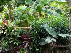 Tanah Lenteng Agung dekat SMP 98 Jakarta Selatan