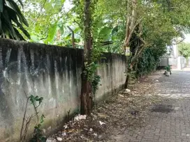 Tana di Tangerang Selatan