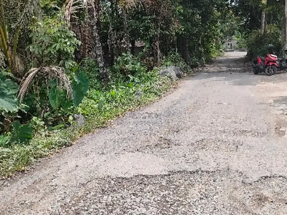 Dijual tanah di manisrenggo 2000m ld 24m
