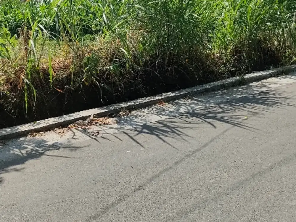Bu Dijual Sawah di manisrenggo murah pol 2 muka jalan