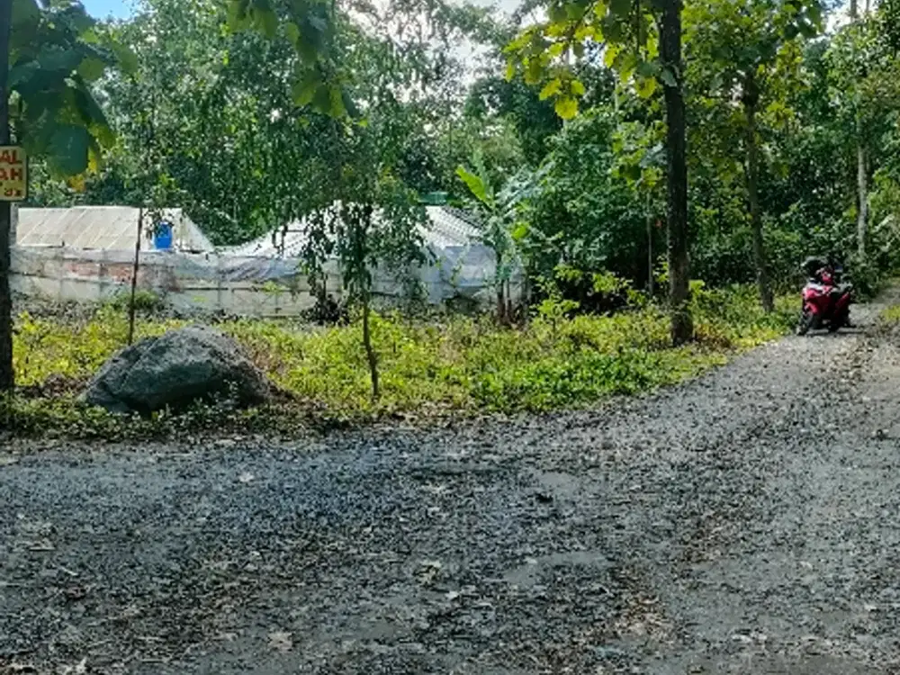 Dijual tanah pekarangan 1700m ld 50m di manisrenggo