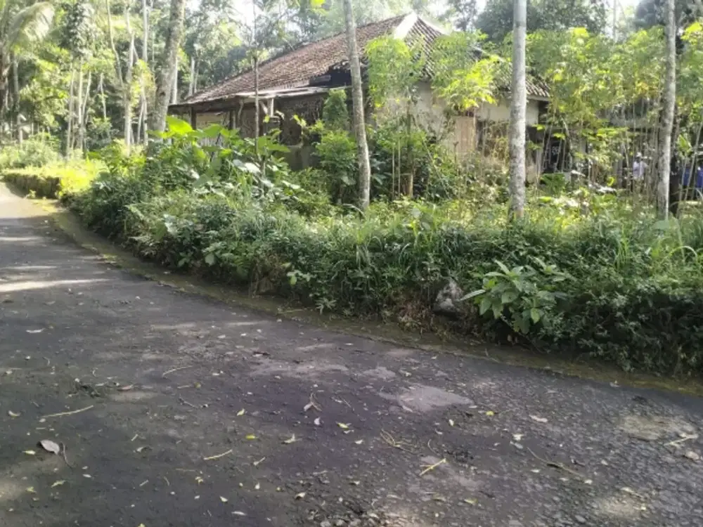 Dijual tanah 1100ms bonus Rumah di manisrenggo